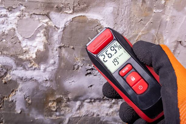 Best Water Damage Restoration  in Scow Mills, MO