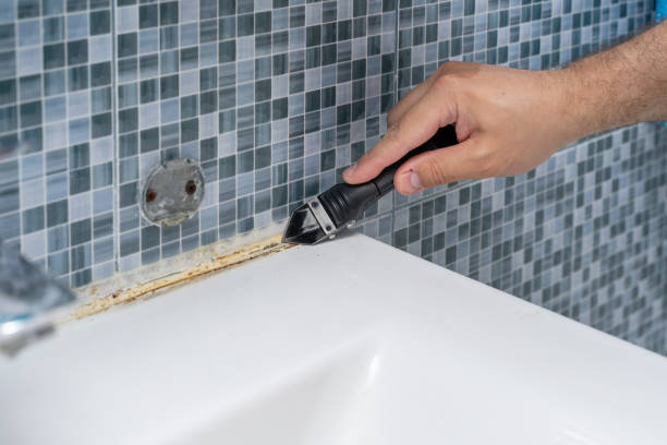 Best Toxic Mold Removal  in Scow Mills, MO